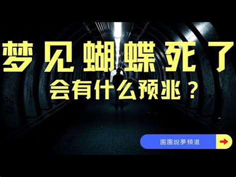 夢到蝴蝶停在臉上|夢見蝴蝶最重要的20種解讀——解夢的秘訣